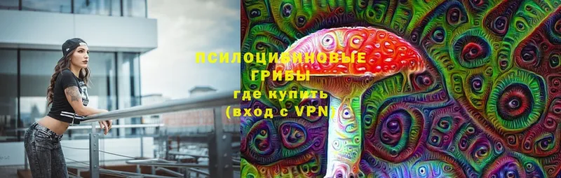 Псилоцибиновые грибы Magic Shrooms  Сертолово 